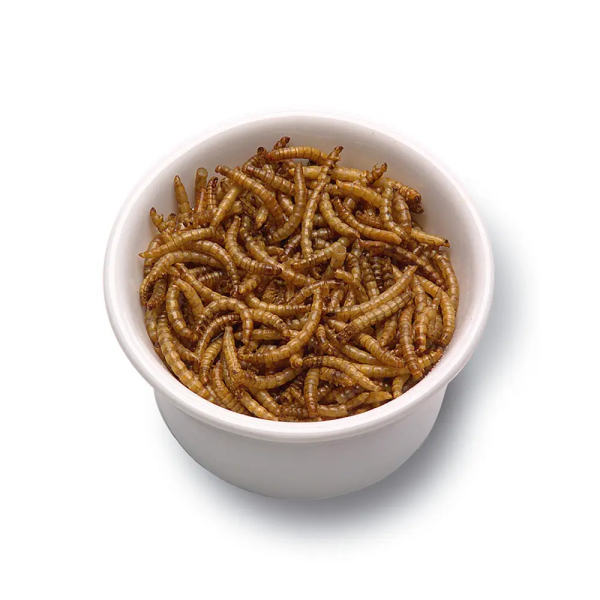 Dpat Queen Natural Dried Mealworms 850g