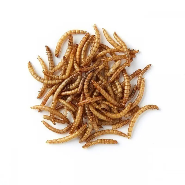 Dpat Queen Natural Dried Mealworms 850g - Image 2